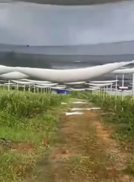 nevreme i grad, milanovac_gornji