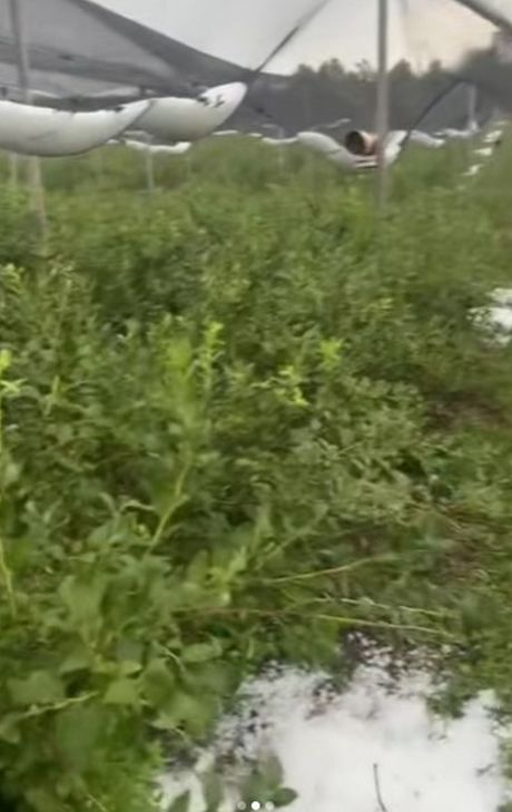 nevreme i grad, milanovac_gornji