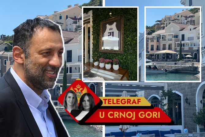 Vlade Divac Luštica