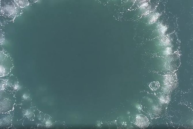 grbavi kit, krugovi grbavi kit, krugovi