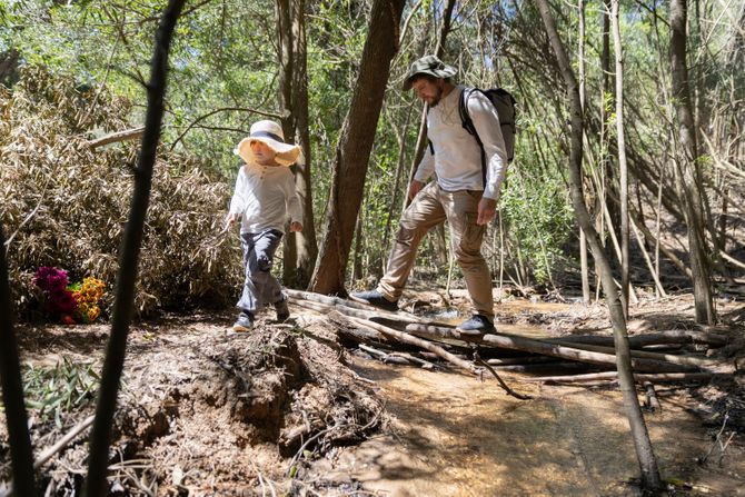 planinarenje planinarenje