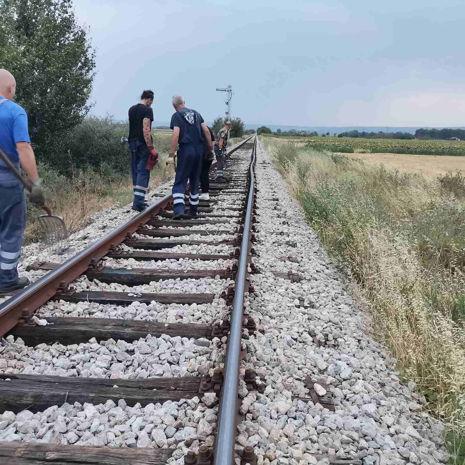 Prekid saobraćaja na pruzi Zaječar-Niš: Voz naleteo na oboreno drvo