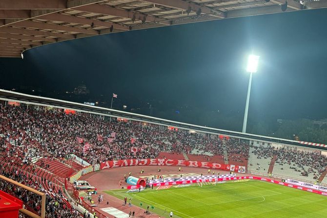 Delije, Zvezda - Linkoln Delije, Zvezda - Linkoln