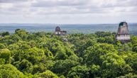Naučnici postavili kamere u džungli Gvatemale: Snimci su otkrili nešto fascinantno!