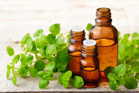 ulje divljeg origana, divlji origano, ulje, ulje origana, bočica