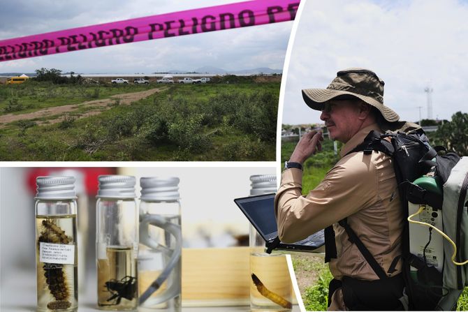 Meksiko, potraga za nestalima Meksiko, potraga za nestalima