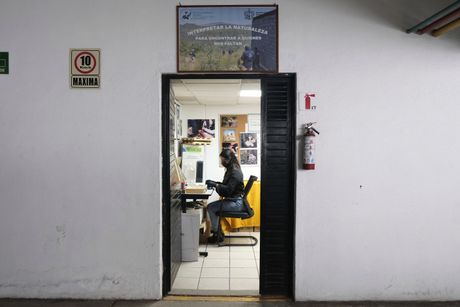 Meksiko, potraga za nestalima Meksiko, potraga za nestalima
