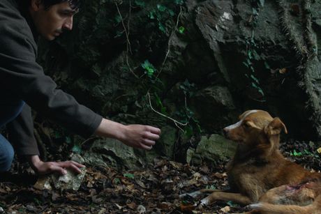 Vetre, pričaj sa mnom