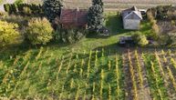Salaš u srcu Bačke čeka nove vlasnike: Nezagađena zemlja, voćnjaci i vinogradi po ceni manje garsonjere