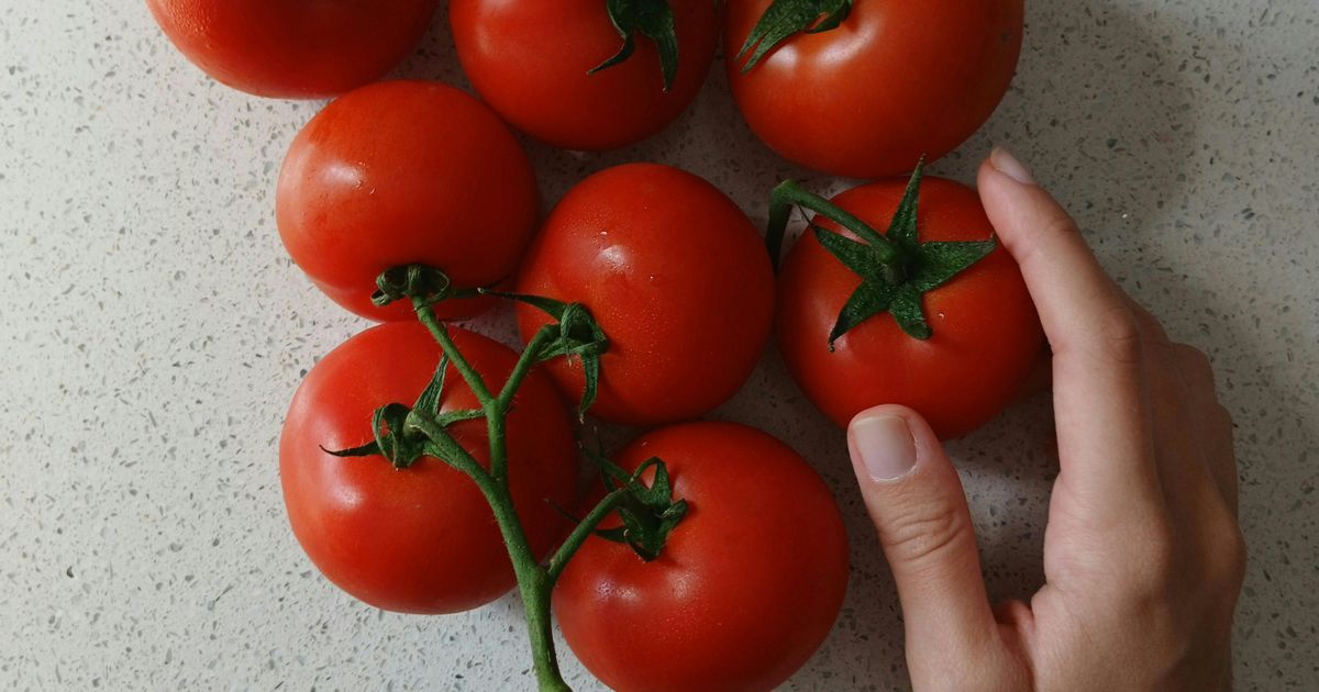 Paradajz buja kao nikad ako pored njega posadite ovaj cvet: Čuva od štetočina, plodovi su sočniji i otporniji
