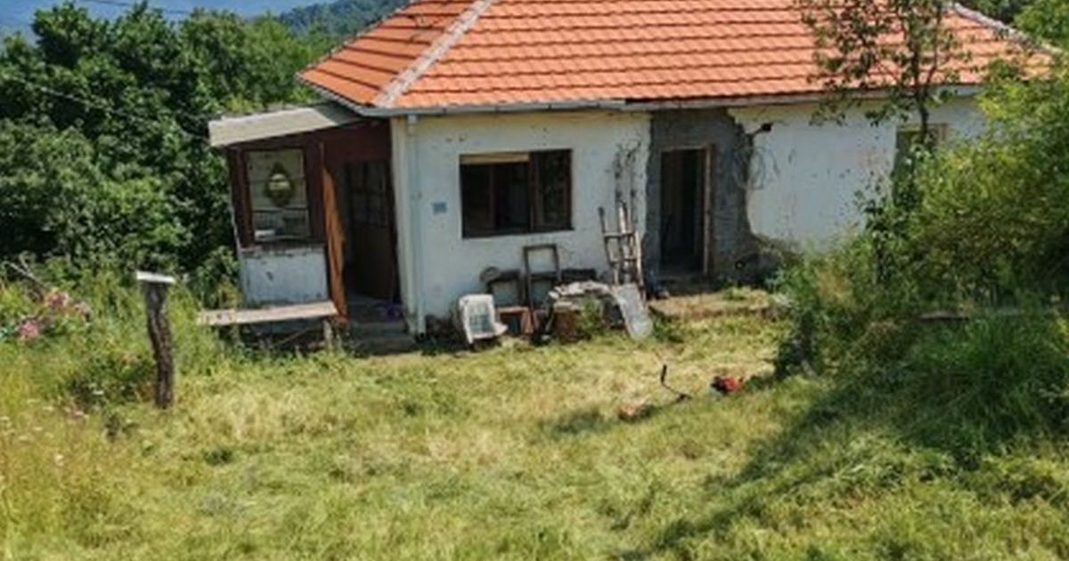 Ovo je kuća Zvezde Granda: Sređuje imanje usred šume gde vodi decu, ima još nekoliko luks nekretnina