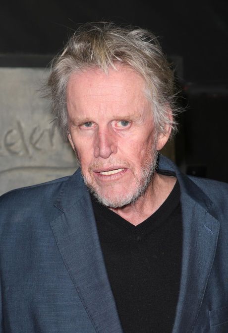 Gary Busey Gary Busey