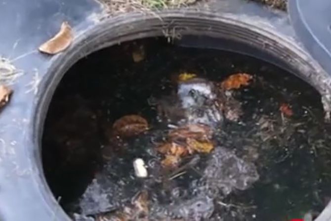 Bistrita-Nasaud, Četvorogodišnje dete je umrlo nakon što je palo u septičku jamu