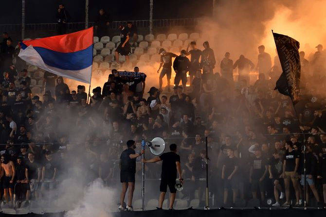 FK Partizan, Grobari