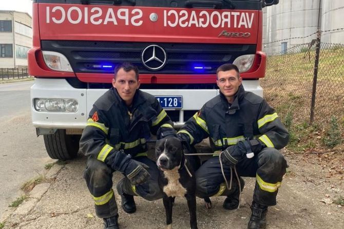 Aleksandrovac , vatrogasci, spašavanje psa Arona