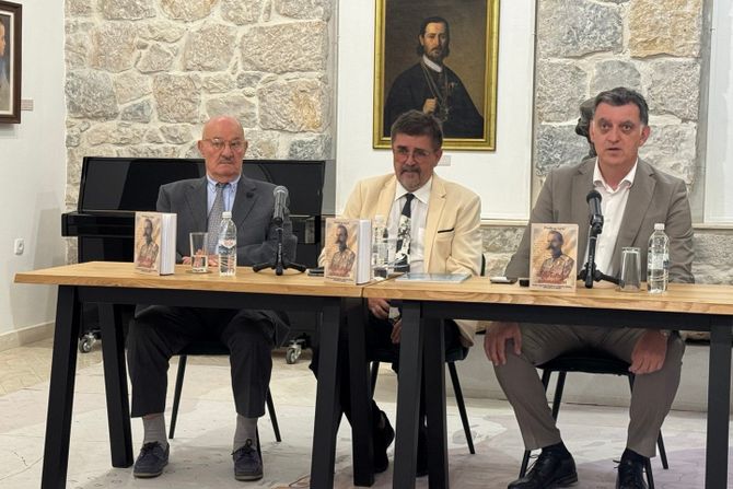 Predrag Savić, Dosije i general Majster Predrag Savić, Dosije i general Majster