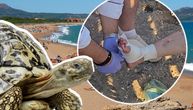 Morska kornjača napala ženu na plaži u Grčkoj, povređeno i dete: Za dlaku izbegla amputaciju, spasioci apeluju
