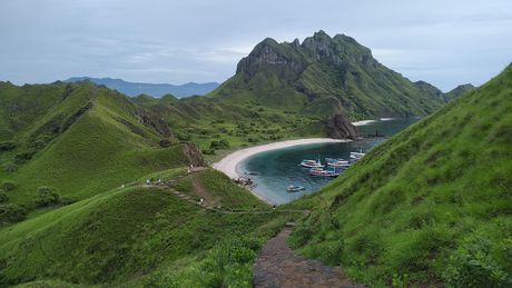 Nacionalni park Komodo, Indonezija, Komodo zmaj, Komodo zmajevi Nacionalni park Komodo, Indonezija, Komodo zmaj, Komodo zmajevi
