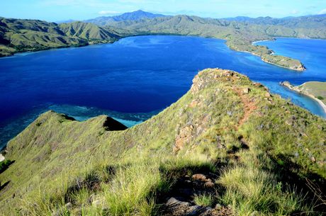 Nacionalni park Komodo, Indonezija, Komodo zmaj, Komodo zmajevi Nacionalni park Komodo, Indonezija, Komodo zmaj, Komodo zmajevi
