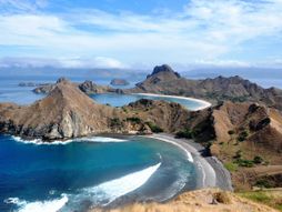 Nacionalni park Komodo, Indonezija, Komodo zmaj, Komodo zmajevi