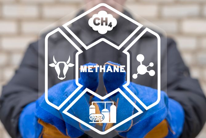 metan metan