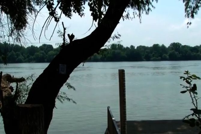 Tarzan plaža