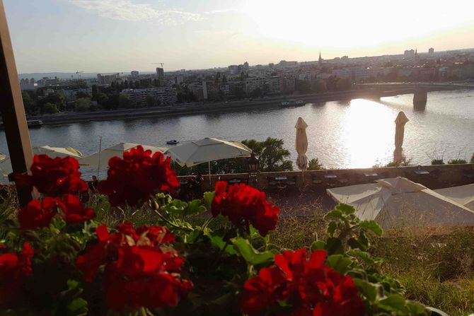 Petrovaradin, Petrovaradinska tvrđava, Novi Sad