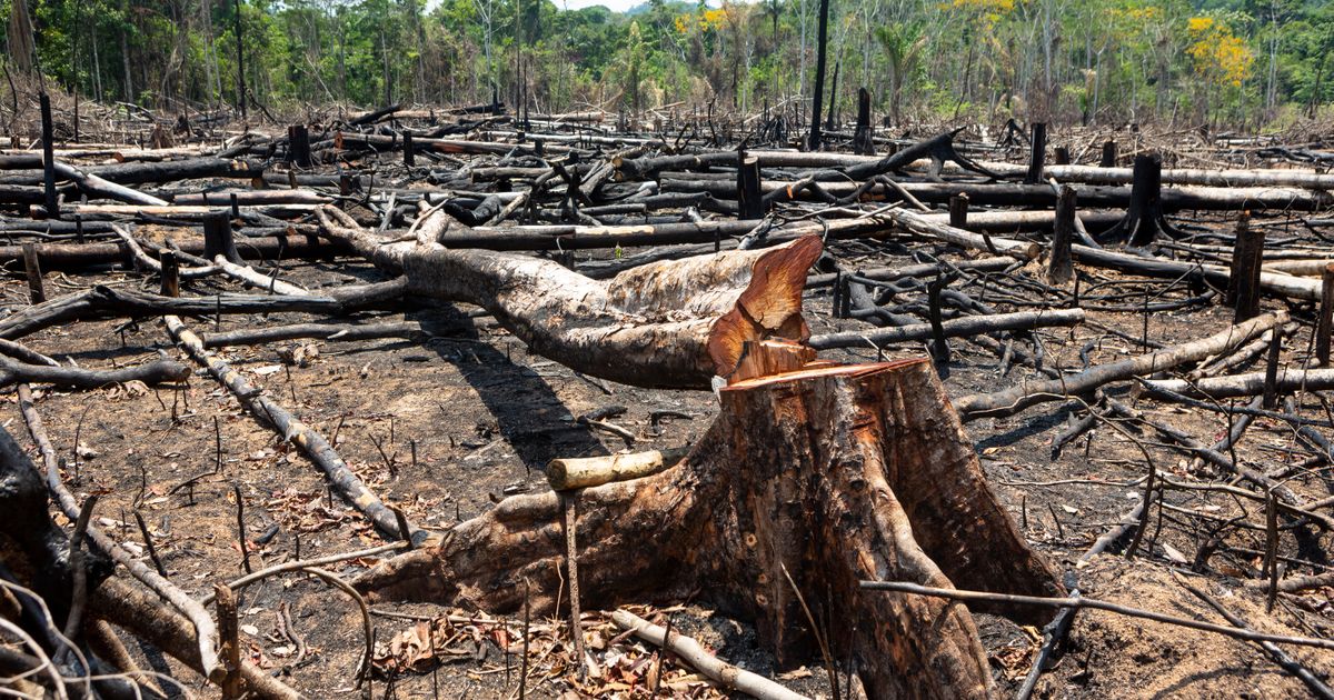 PARADOKS Tramp koji negira klimatske promene uvodi