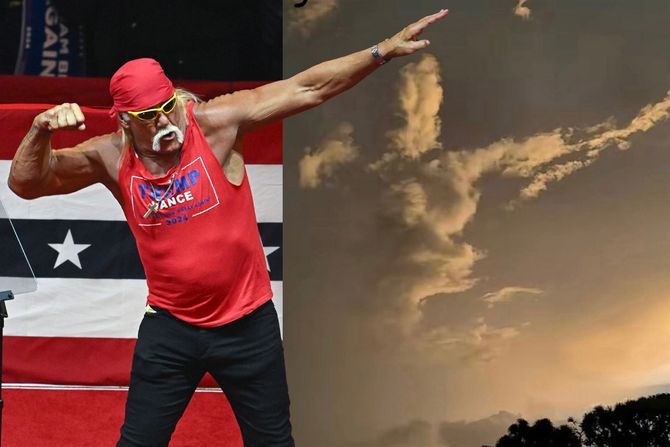 Hulk Hogan
