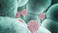 Novo otkriće: Virus koji ima većina ljudi pomaže razvoj jedne vrste raka?