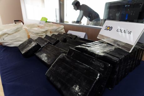 Sinaloa Kartel Cartel Sinaloa Kartel Cartel