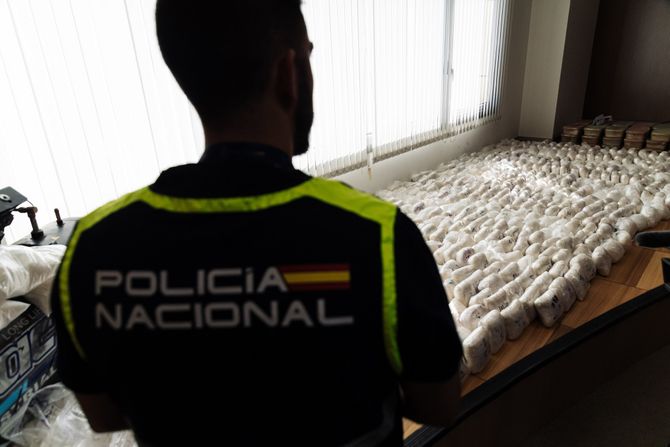 Sinaloa Kartel Cartel Sinaloa Kartel Cartel