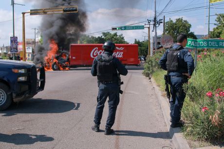 Sinaloa Kartel Cartel Sinaloa Kartel Cartel