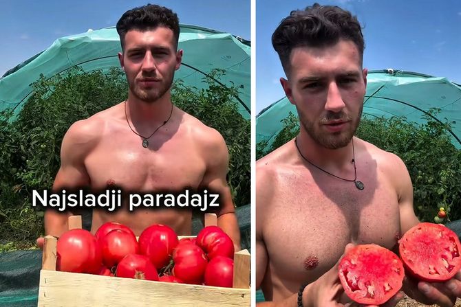 paradajz