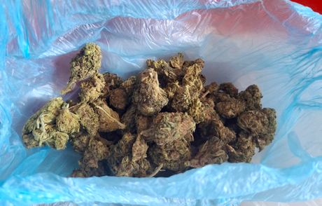 Marihuana Marihuana