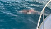 UZNEMIRUJUĆE! Jadranskim morem plutaju mrtvi delfini: Tela im pokidana i krvava, a sumnja se na...