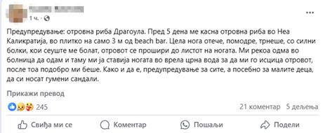 Ubod ribe Ubod ribe