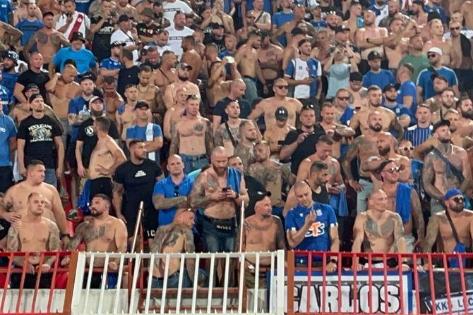 Ćelavi, nabildovani, Leh, huligani, ultras