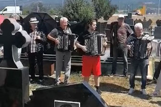 Novica Negovanović Novica Negovanović