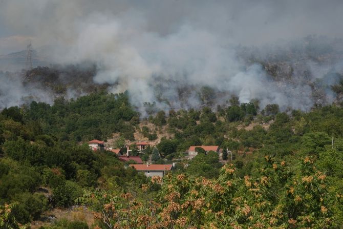 Požar Crna Gora