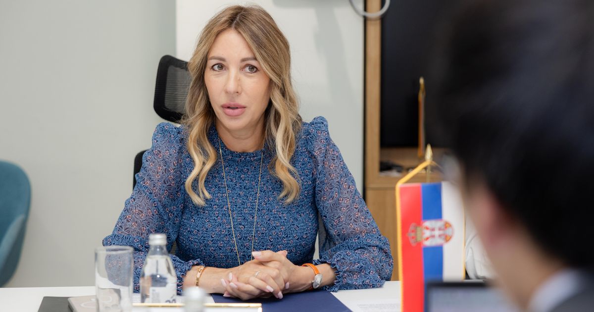 Đedović: "EPS od oktobra garantuje niže račune za struju, država štiti penzionere i male privrednike"