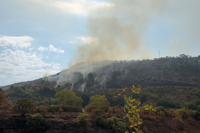 Požari Crna Gora