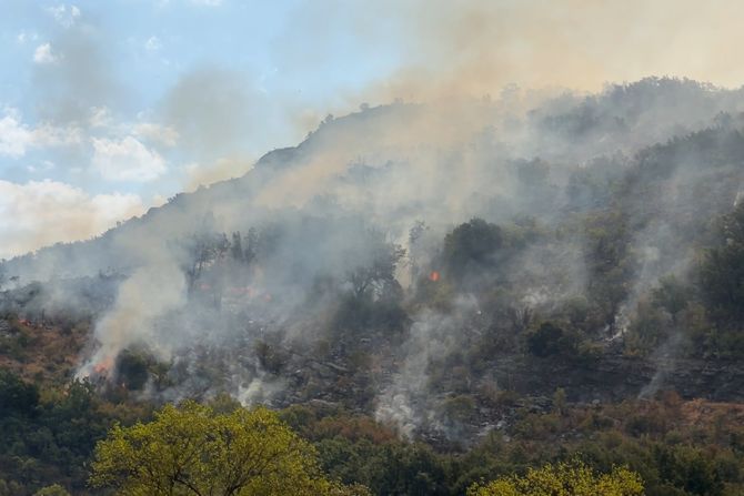Požari Crna Gora