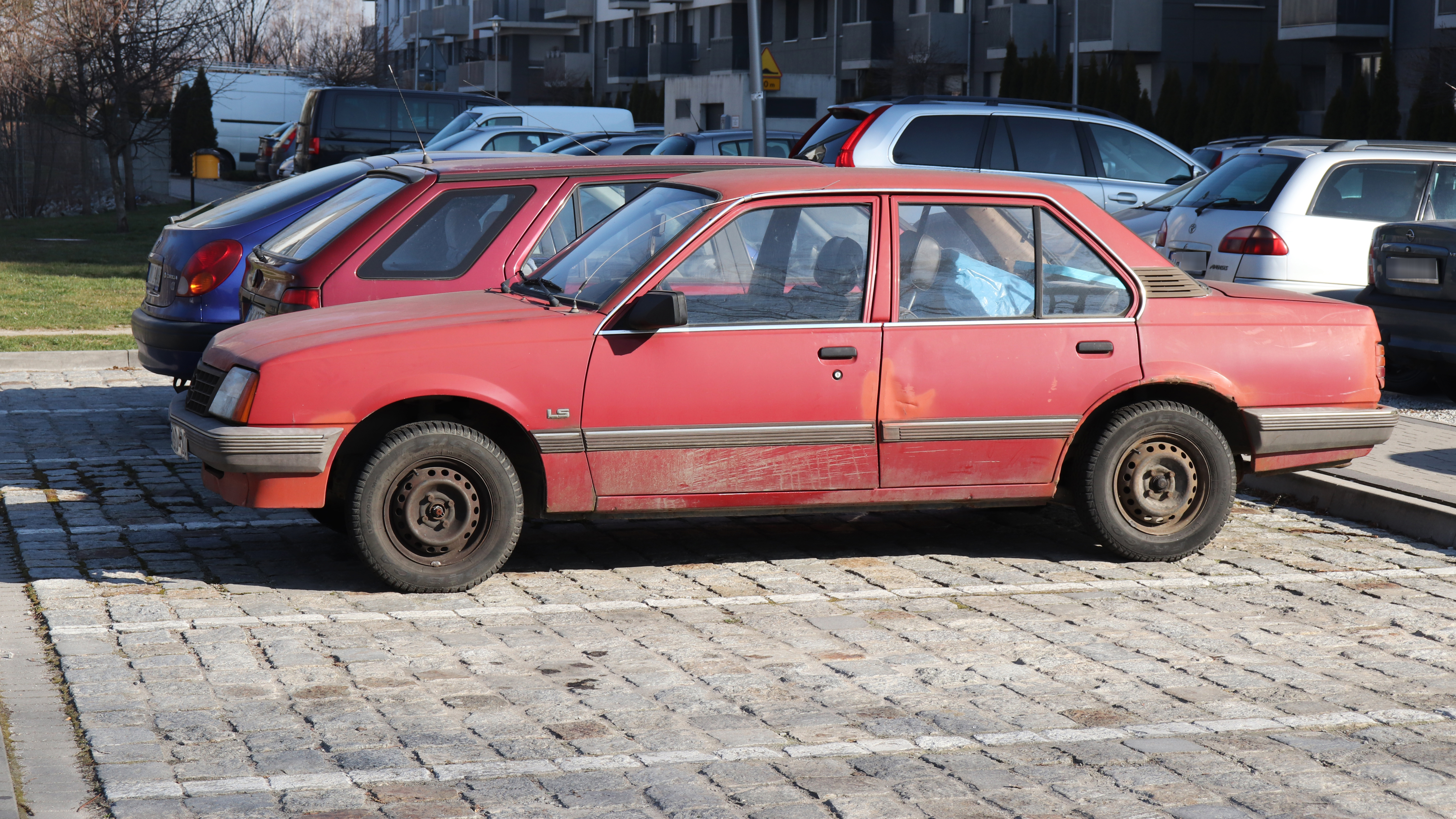 Horor scena iznad volana! Krenuo da uđe u auto, a s vrata visila ZMIJA: Šok snimak sa vrelog parkinga u Srbiji