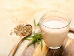 mleko od semena konoplje