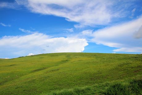 Ngorongoro, Tanzanija, Afrika Ngorongoro, Tanzanija, Afrika