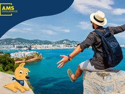 AMS Osiguranje