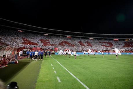 Navijači Crvene zvezde, Delije