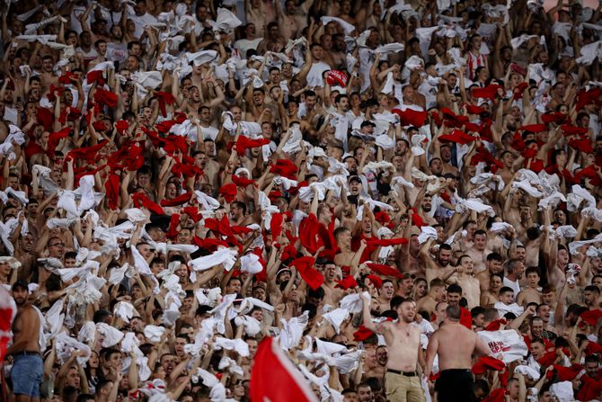 Navijači Crvene zvezde, Delije Navijači Crvene zvezde, Delije