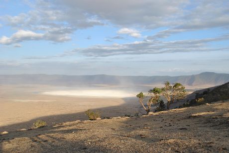 Ngorongoro, Tanzanija, Afrika Ngorongoro, Tanzanija, Afrika